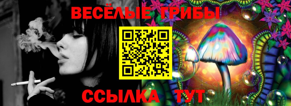 хочу наркоту  Вход с VPN  Углич  Псилоцибиновые грибы Psilocybe 